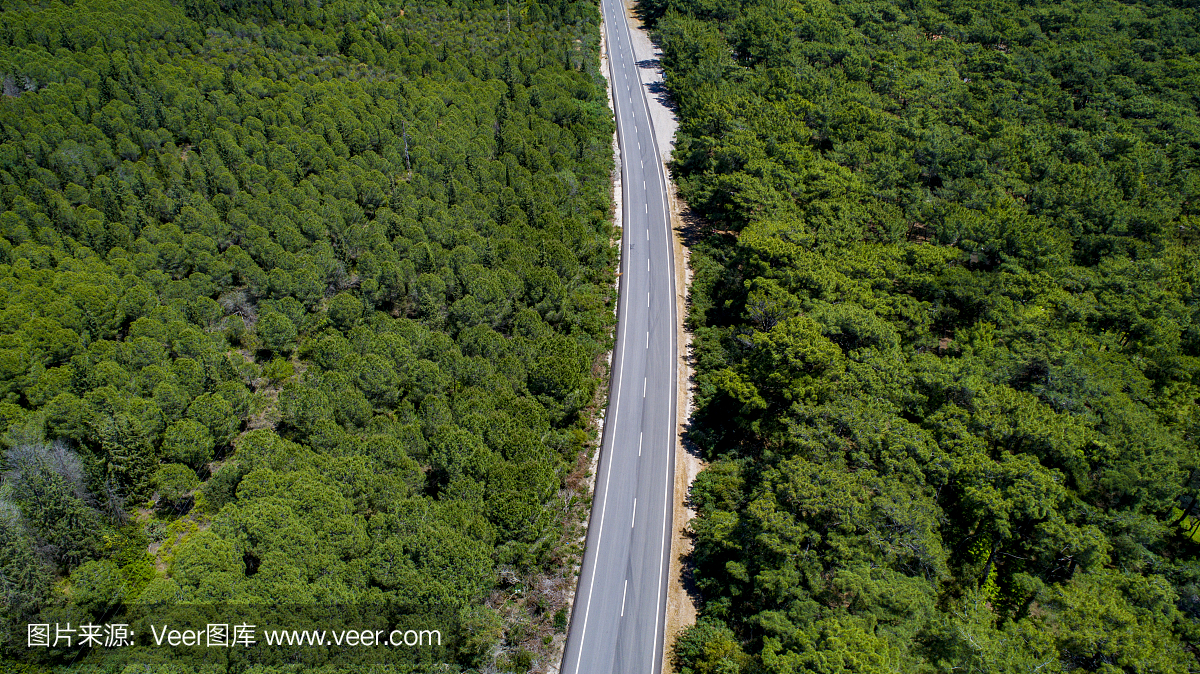 鸟瞰图从上方的乡村道路通过绿色的夏季森林在土耳其夏季。俯视图柏油路和茂密的绿色森林